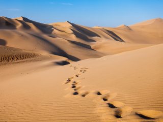 Sahara landscape